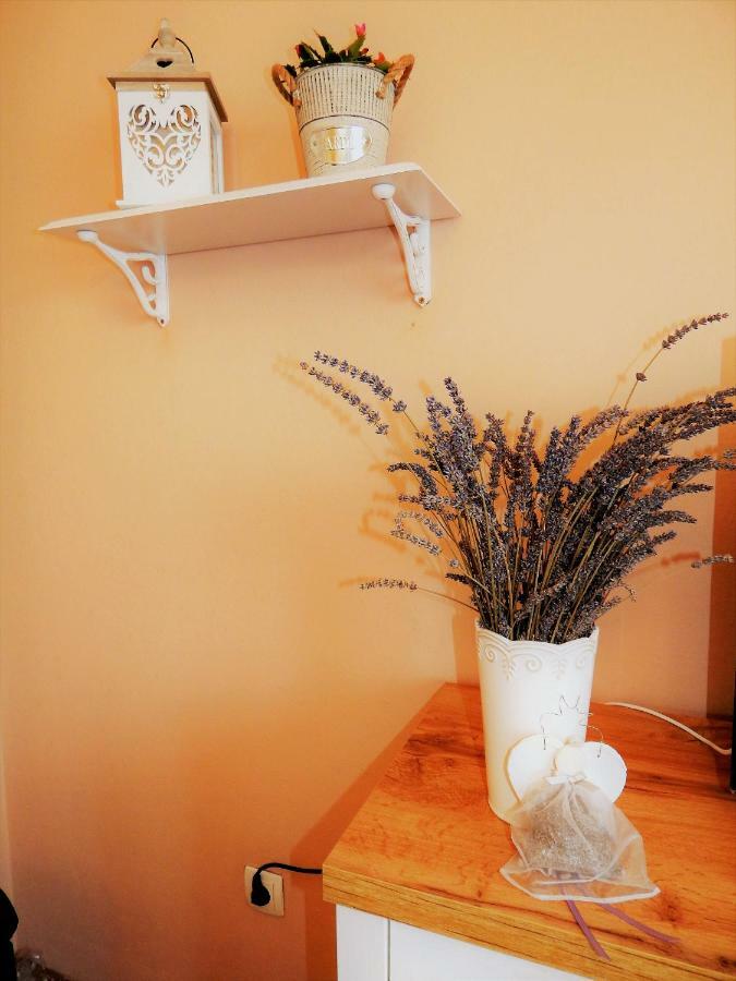 Studio Apartman Tvrtko Varaždin Exteriör bild